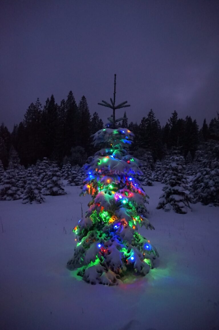 132147567 3832077006811067 1647966123744175773 n 1 768x1154