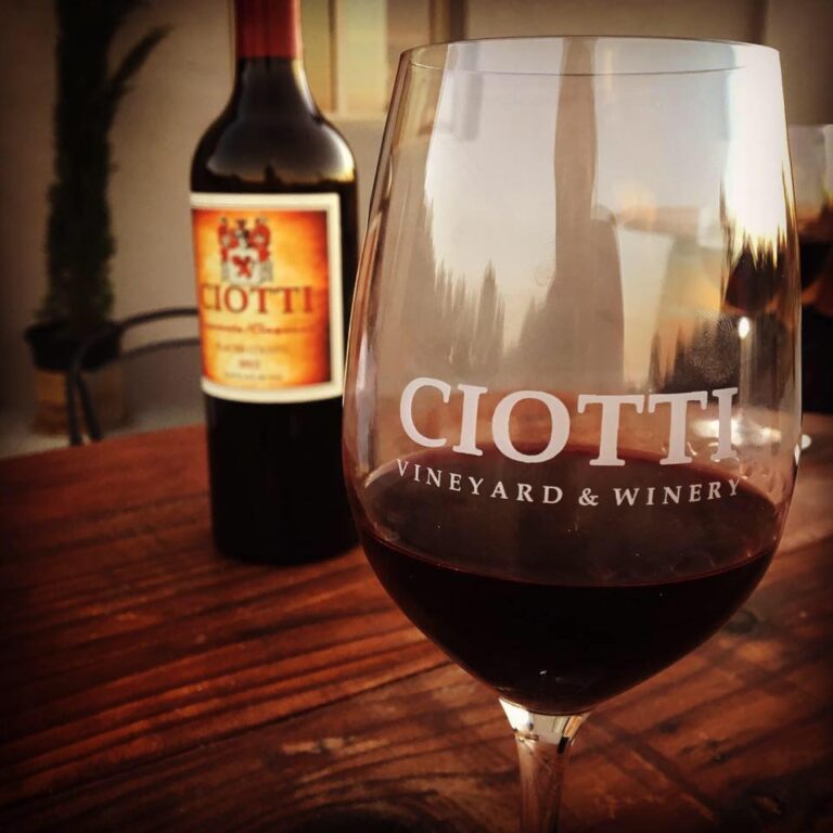 14517429 10154208832798580 1937223083202093361 n 768x768