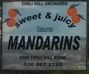 14522834 1257655614278827 3209255776648927793 n 300x251