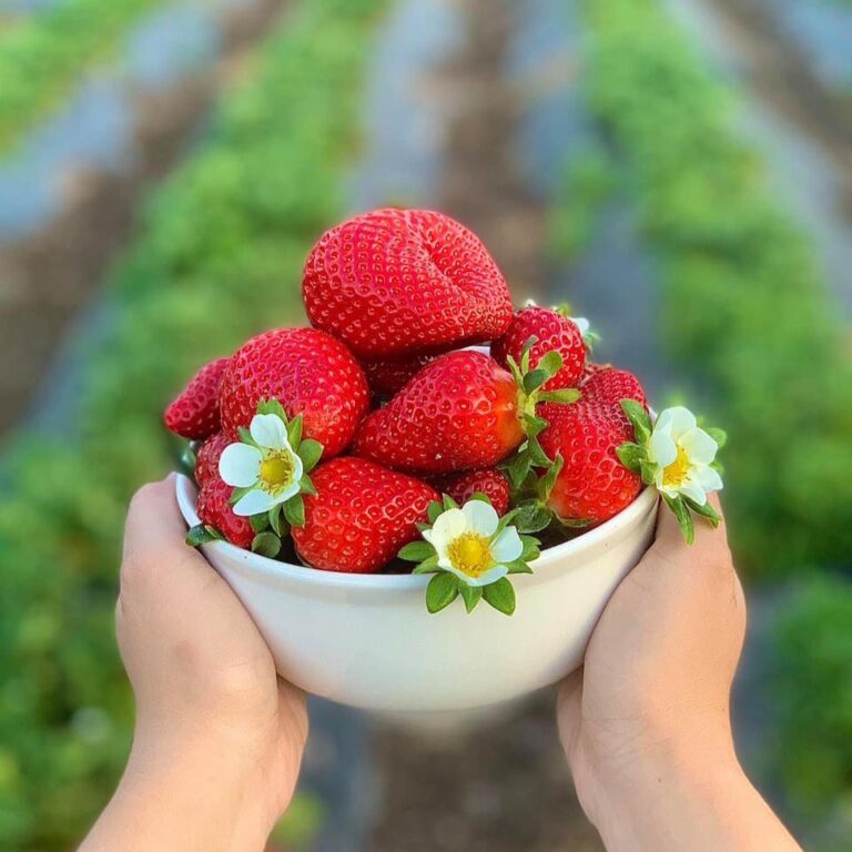 151521052 1131026797318188 6225163479761911403 n 768x768