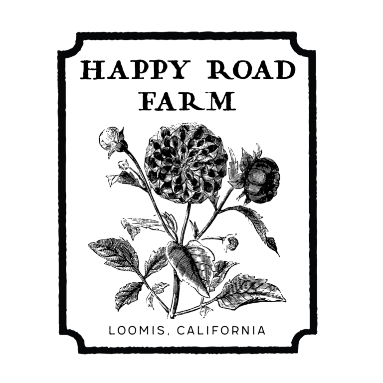 15418500 213859759061270 4473177947351611144 o 768x768