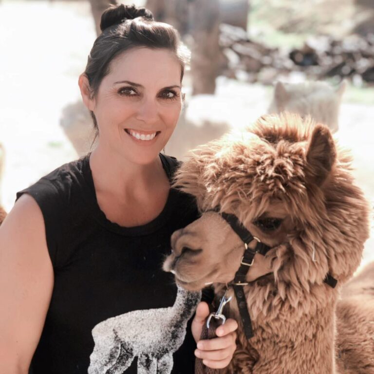 175475683 4238986056125748 8698515137126898102 n 768x768