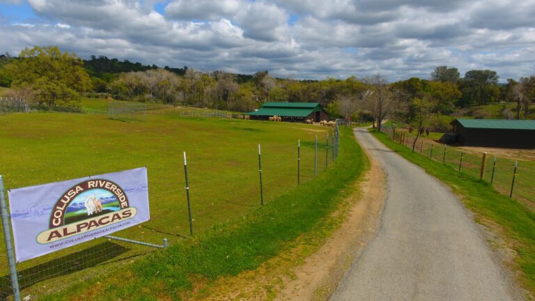 185650705 4098110620248586 171687499867818744 n 768x432