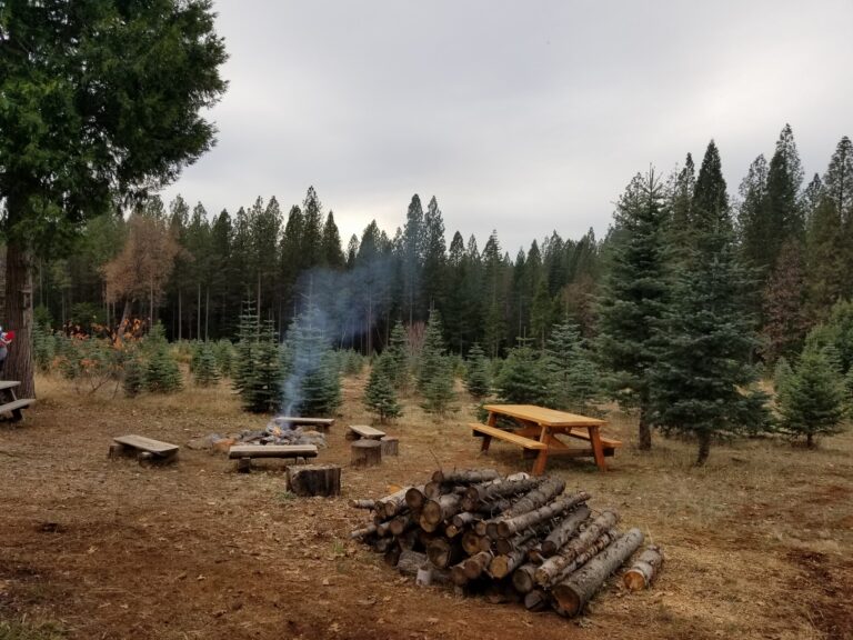 24068504 10155101273179135 8679462315702602352 o 768x576