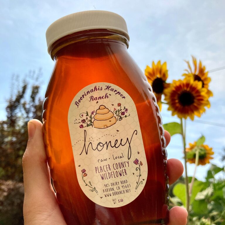 241858082 10208835287356896 3163634383255789592 n 768x768