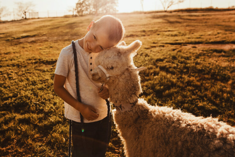 278505757 5151306444928993 4687355546042507411 n 768x512