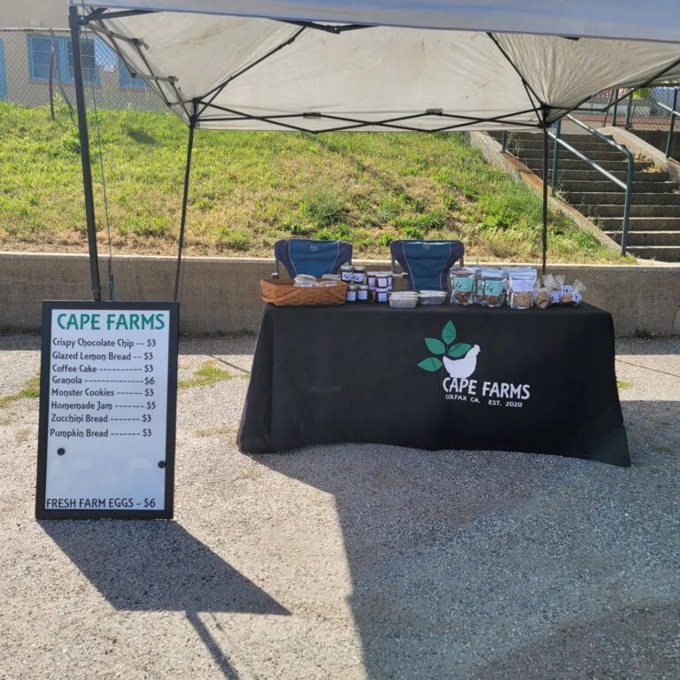 284411515 496757382197847 3502398560337280508 n 768x768