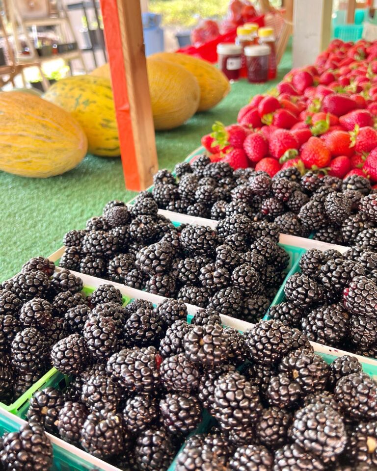 296624145 1475607232860141 2896000803591768154 n 768x960