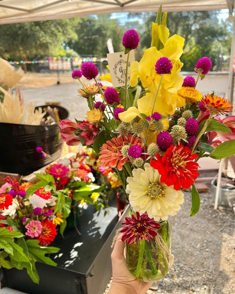 296696629 1475607236193474 1289749159000884235 n 768x960