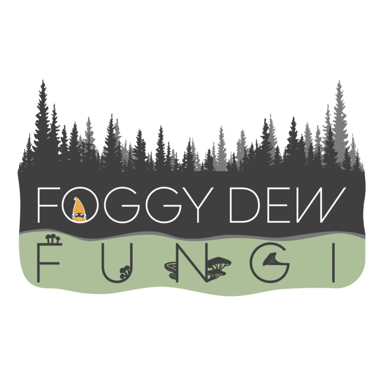 305571751 773783977346730 3101639983269328774 n 768x768