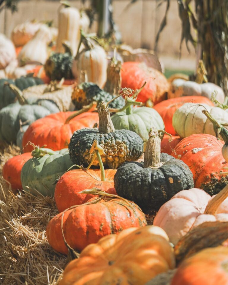 307734594 8132124020192023 7033084425728513907 n 768x959