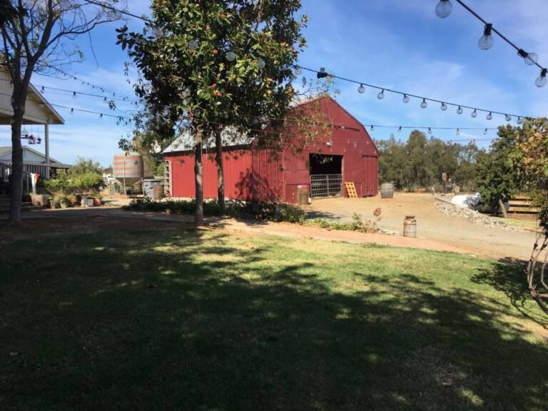 308648986 453476420148142 9127465690944506276 n 768x576