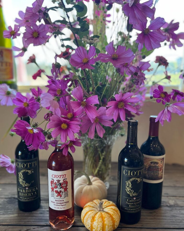 308855921 525981512867017 3875950199368423937 n 768x960