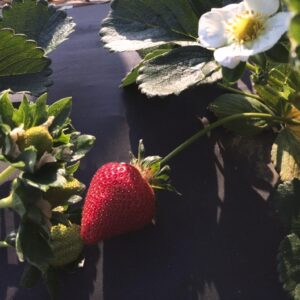 311272523 126694776825585 698940314542916299 n 300x300