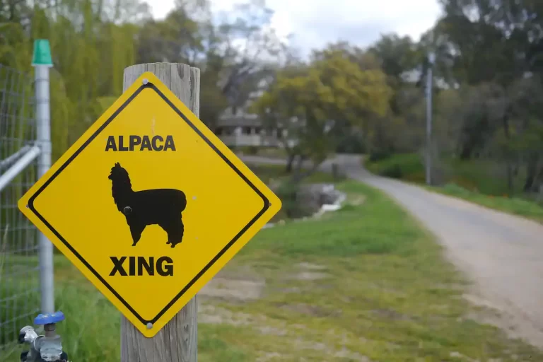 37935ca6 d571 4766 b6cd 3885c371b4ba 768x512