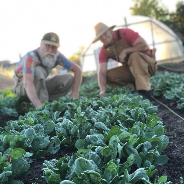 42572530 2129528507310009 693051466369204224 n 768x768