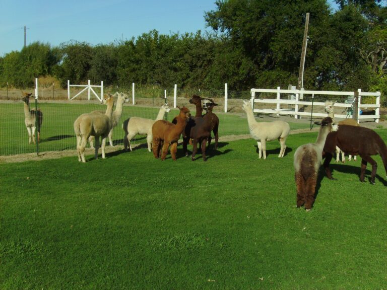 50542063 2155071724552495 2715749615587557376 n 768x576