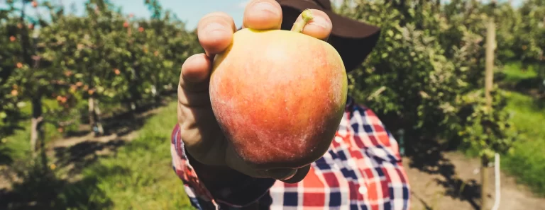 637e6229f5864058969a5d7b19c4cd1a 768x297