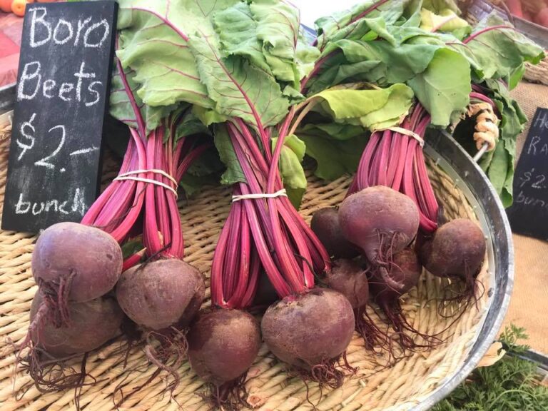 67519304 2316438751952316 2969507806832492544 n 768x576