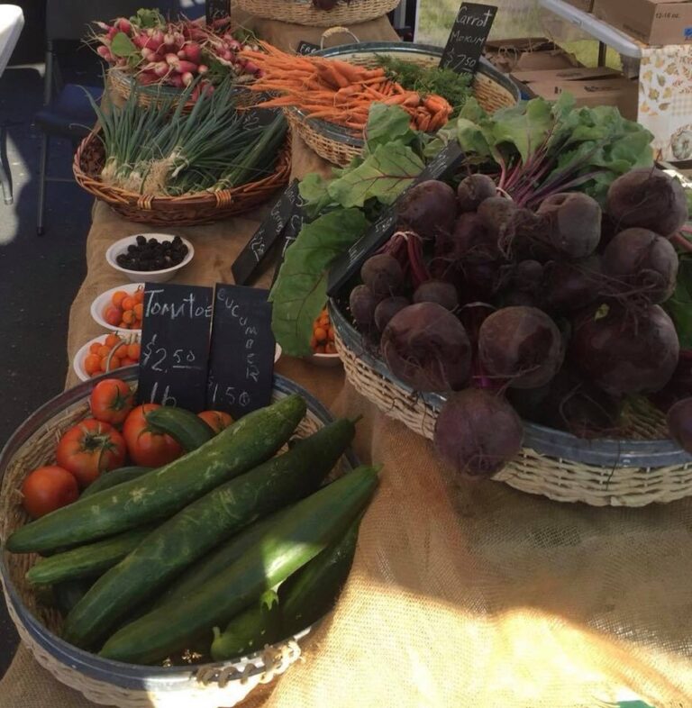 67701758 2316438841952307 1969917313297678336 n 768x786