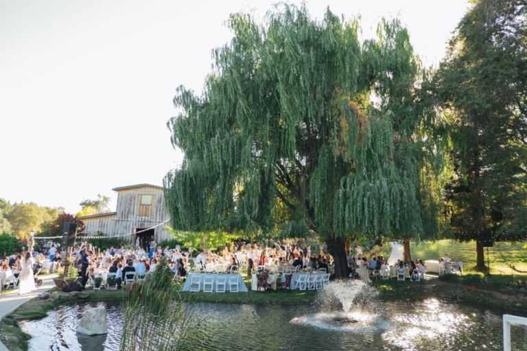 70185998 968209210218502 6998343175232290816 n 768x512