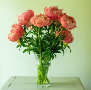 Best Bodacious Blooms Subscription 500x495 1 300x297