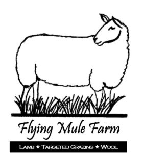 FMF new logo 282x300