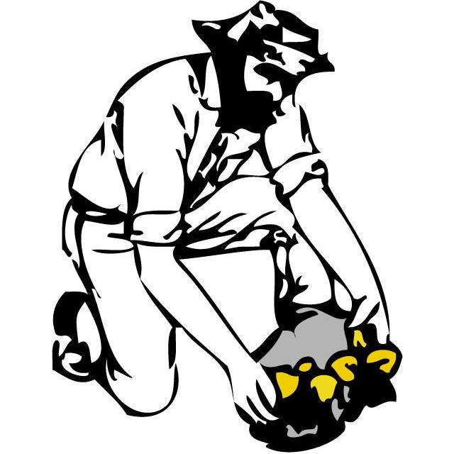 Gold Country Orchids LOGO 1