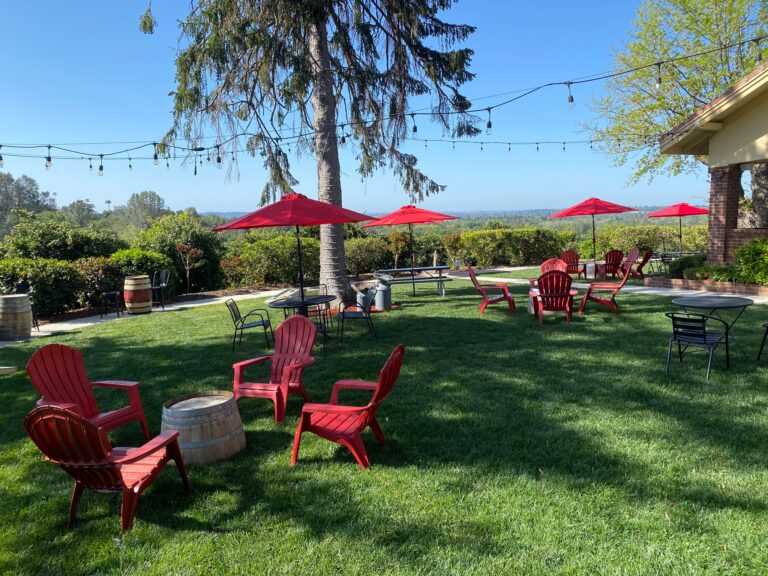 HappyDaysIMG 7870 768x576