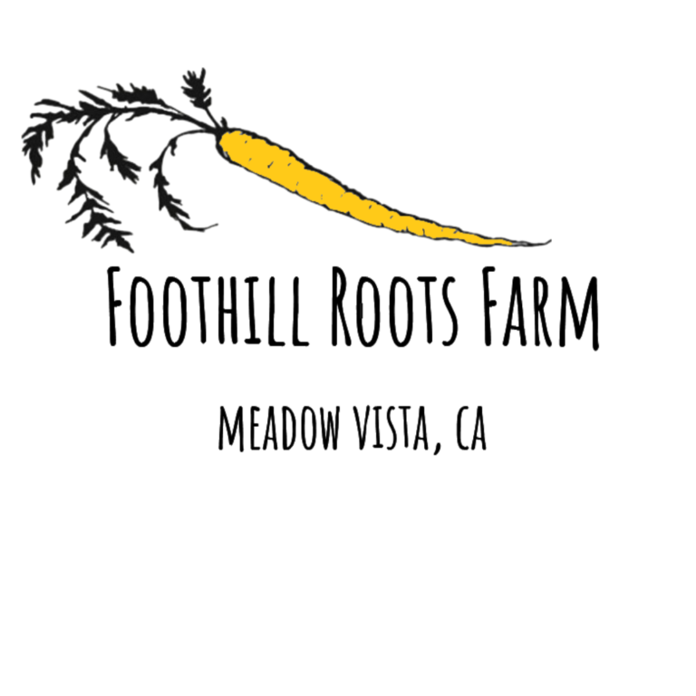 logo header 1 768x768