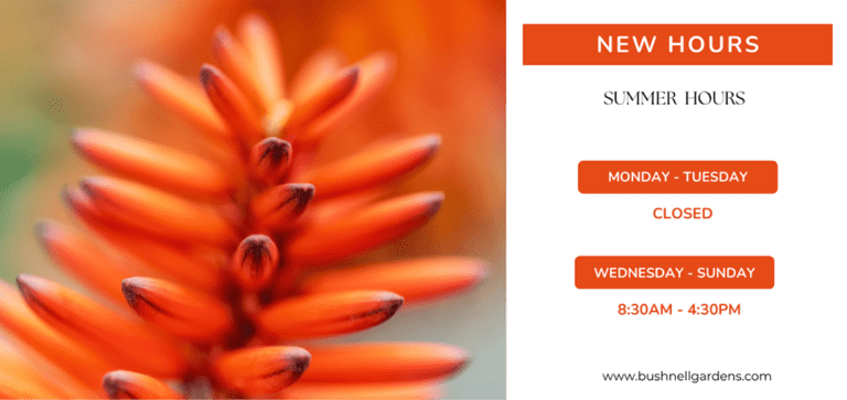 store hours 2 768x363