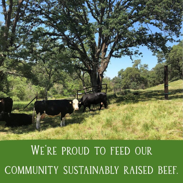 101410482 3579692448725326 6336155326672273408 n 768x768