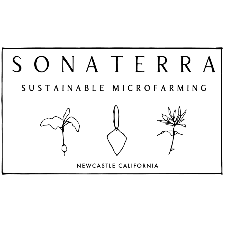 109694114 101615684976308 4393780559007020681 n 768x768