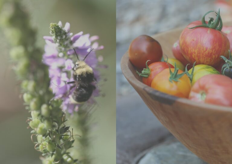 115927919 101615514976325 7056087529898998779 n 768x543