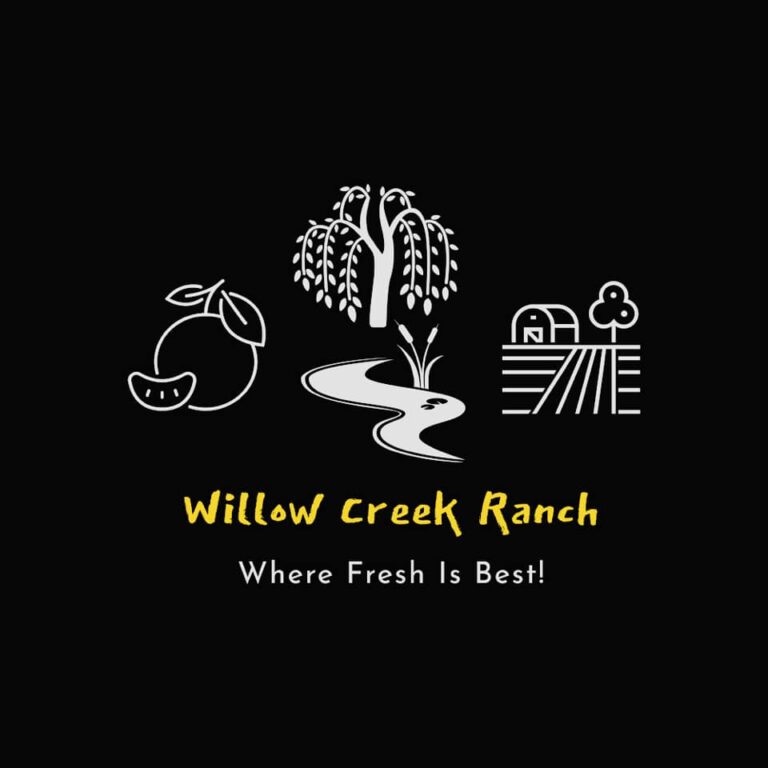 117780505 1208271416172536 6874432532024940299 n 768x768