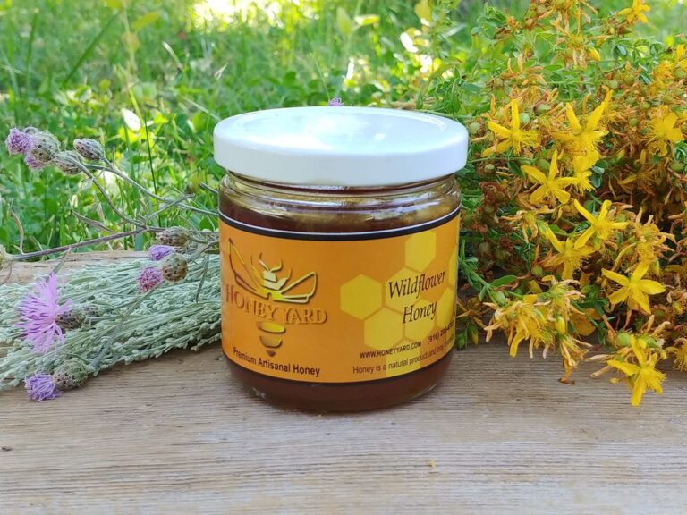 118239794 165536831806901 8531614087804443522 n 768x576