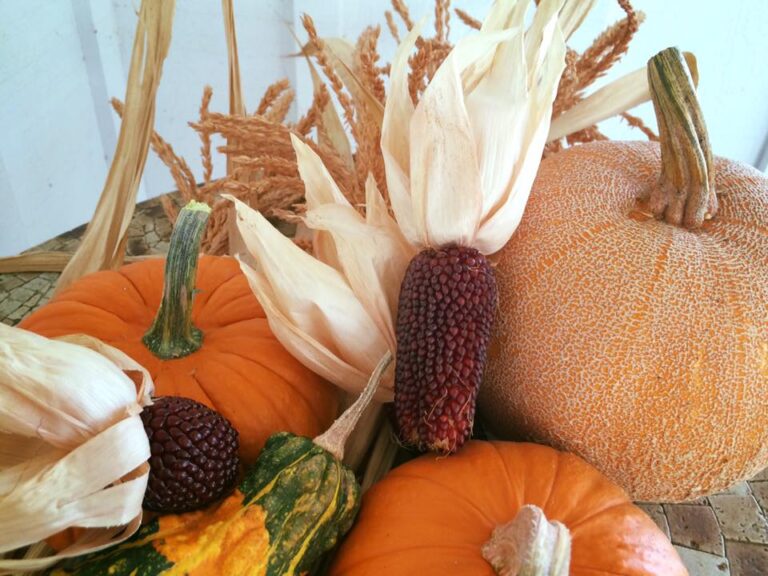 11924743 959171174148113 5797068365559770525 n 768x576