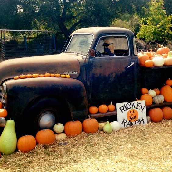 12193855 912328028853819 931852627979521414 n