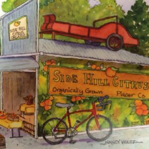 12196159 1687136048194064 5543528787640097369 n 300x300