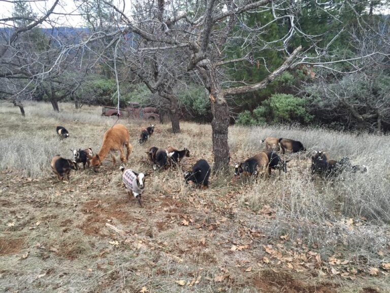 12376392 652951314843952 735654835206587322 n 768x576