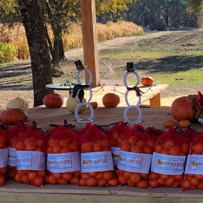 131931158 714975909392960 8106554849862067653 n 768x768