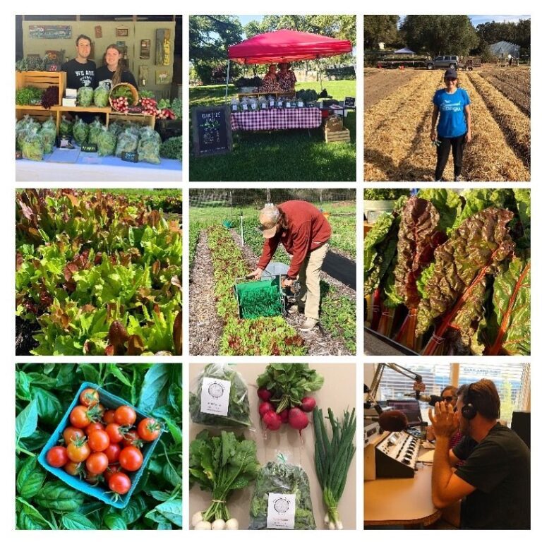 133210545 237884837745449 7361022701294109769 n 1 768x768