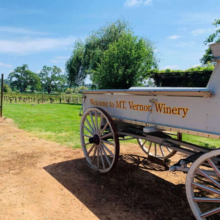 144137260 3711850792196253 4898799658252074588 n 768x768