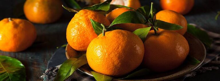 14725504 680966632050412 2680637280508158177 n 768x284