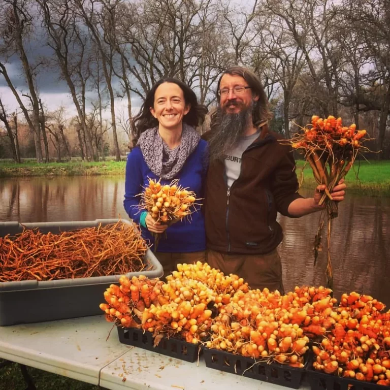 16179280 1336392279759332 8148110201866916870 o NTcyMz 768x768