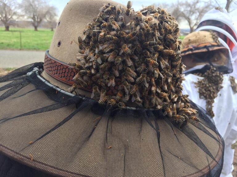 16298817 699307153577551 3500714019955672000 n 768x576