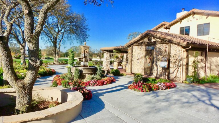 16403057 1335388443190553 9091921353279625181 o 768x432