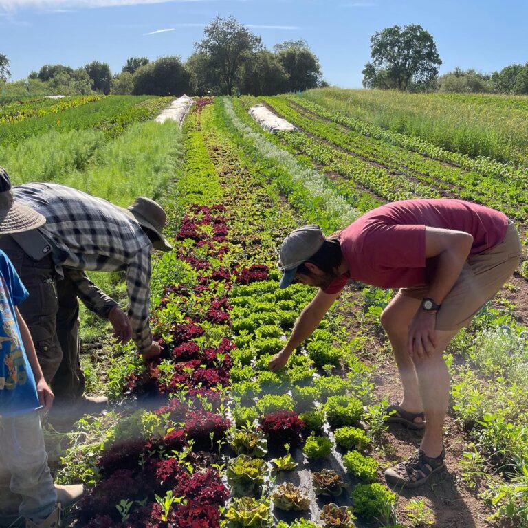 182299253 10157878724421269 1190444329919351593 n 768x768