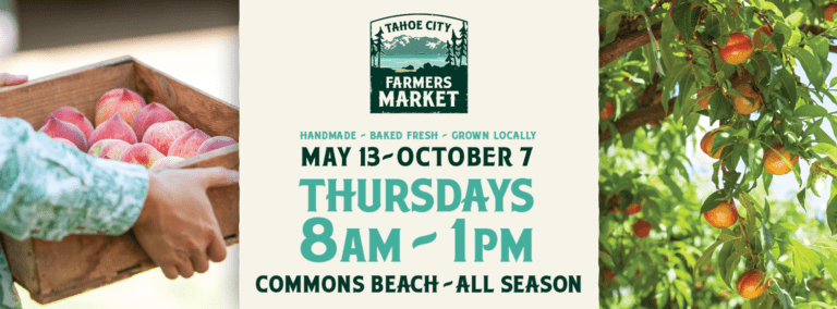 197337317 4065120823572769 274513530884873717 n 768x284