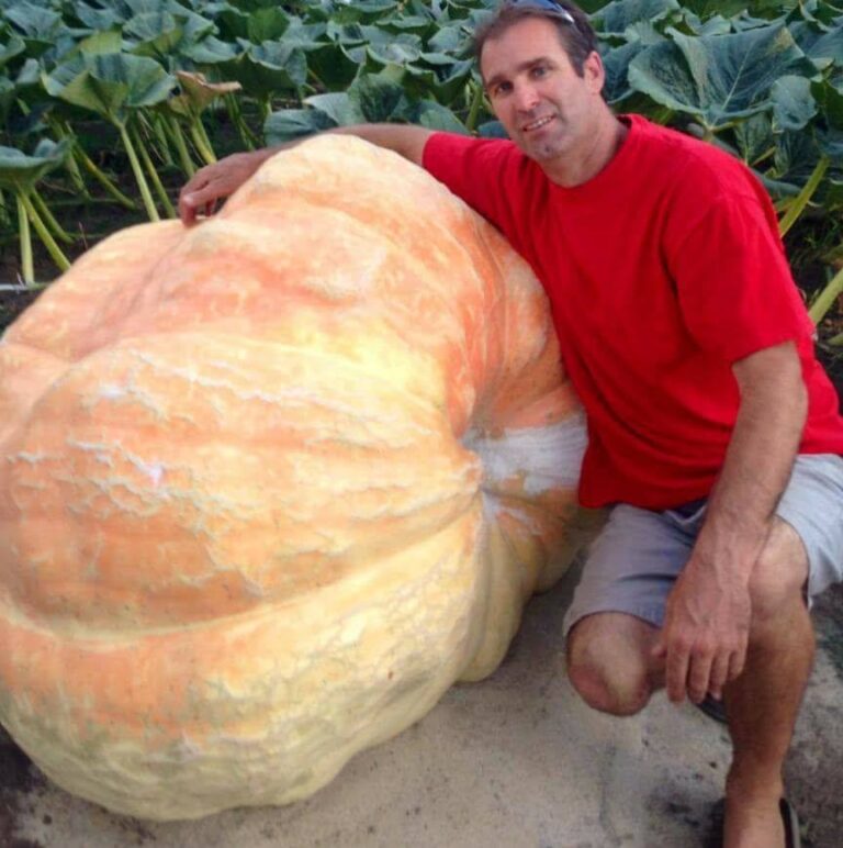 21151614 1451841661569117 5712709844004648248 n 768x772